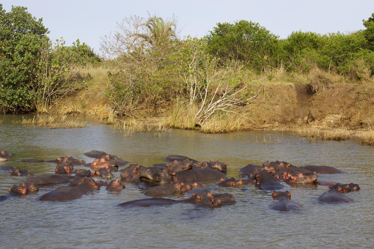 Lodge Afrique เซนต์ลูเซีย ภายนอก รูปภาพ